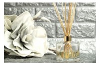 Containers for reed diffusers category