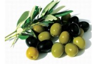 Olives category