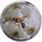 10-618-30 (bee)-изображение_продукт