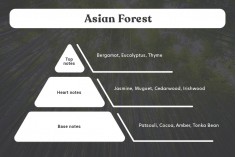 Asian Forest kokulu soya mumu (110gr)
