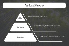 Ароматно масло за свещи  100 мл  Asian Forest