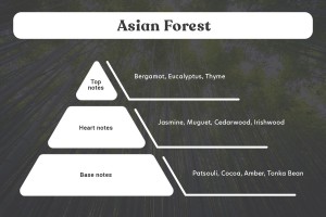 Ароматно масло "Азиатска гора" 100 мл-изображение_група