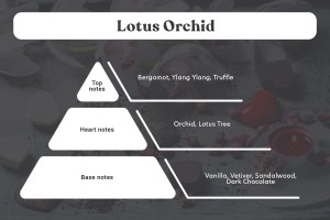 Ароматно масло Лотос Орхидея 30 мл за свещи-изображение_група