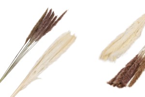 Сухи цветя за декорация - 1 брой (букет с около 7 клона)-изображение_размери