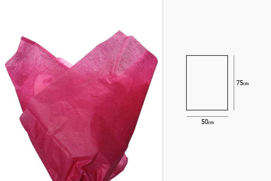 Fuchsia light [0] 