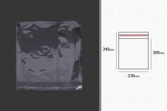Прозрачни пликове с цип, с размери  230x340 mm - 1000 бр. 