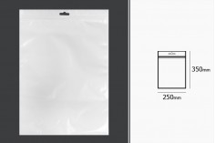 Пластмасови торбички с  цип 250x350 мм, с бял гръб  и предна прозрачна част с Eurohole - 100 бр