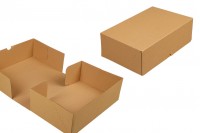 Carton 30x20x10 cm  brown 3-sheet - 25 pcs