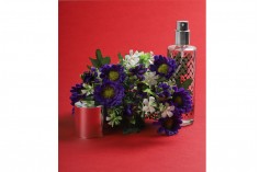 Gümüş sprey ve kapaklı 30 ml parfüm şişesi (PP 15)