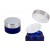 Silver cap [843] 
