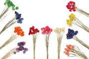 Dekorasyon için kuru çiçekler - 1 adet (yaklaşık 15 dallı buket)