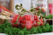 Пластмасови кутии за яйца 10 места с размери 238х100х65 мм - 100 бр. Пластмасови кутии за яйца 10 места с размери 238х100х65 мм - 100 бр.