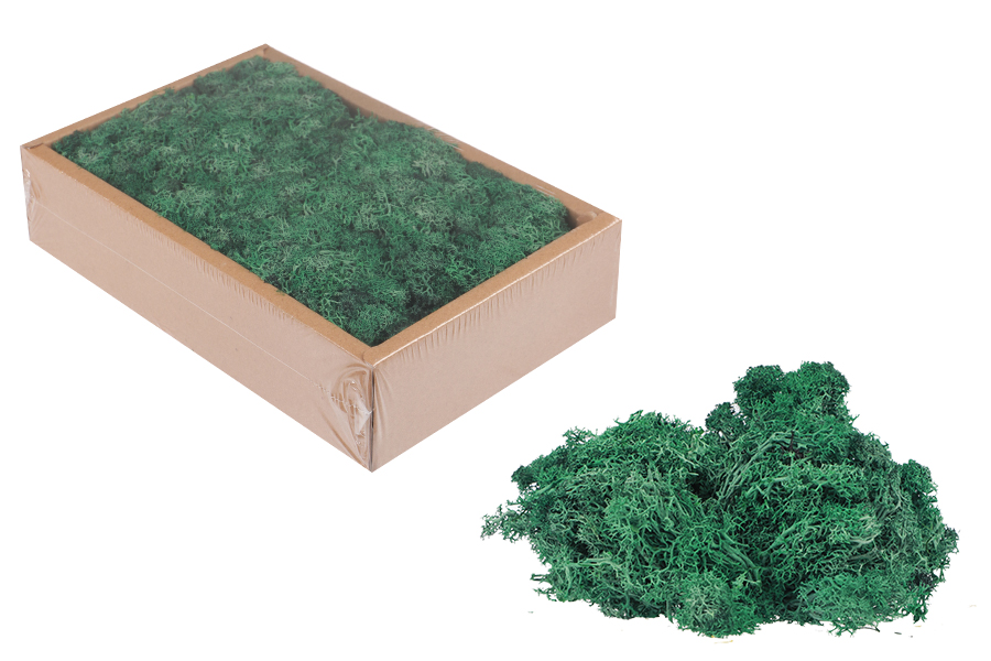 Dark green [8] 