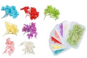 Сухи декоративни цветя в различни цветове - 6гр