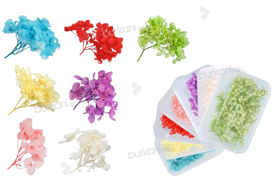 Сухи декоративни цветя в различни цветове - 6гр