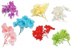Kurutulmuş dekoratif çiçekler - 10 gr