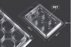 Plastik kutu (PET) Mum eriyikleri kareleri için 6 yer - 20 adet