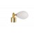 Gold - White 2 [242] 