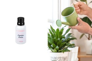 Ароматно масло за свещи 30 мл Crystalline Garden-изображение_продукт