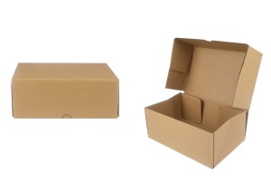 Картонена опаковъчна кутия 250x160x100 мм  - 10 бр.-изображение_продукт