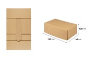 Картонена опаковъчна кутия 250x160x100 мм  - 10 бр.-изображение_размери