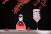 Стъклена тапа Φ 19.5 Стъклена тапа Φ 19.5