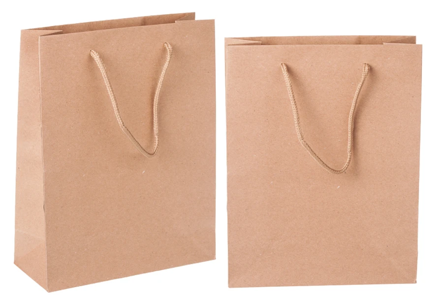 Подаръчна хартиена торбичка, с размери  190x80x240 mm-изображение_продукт