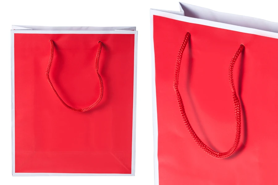 Хартиена подаръчна торбичка в 2 цвята с размери  200x80x240-изображение_група