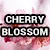 16-2883-2 (Cherry Blossom) 