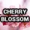 16-2883-2 (Cherry Blossom)