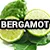 16-2883-3 (Bergamot) 