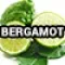 19-5338-3 (Bergamot)