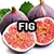 16-2883-8 (FIG) 
