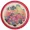 10-618-1 (fruits red)