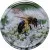10-618-31 (bee flowers) 