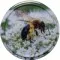 10-618-31 (bee flowers)