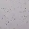 14-707-2 (White with colourful glitter)