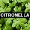 19-5338-2 (Citonella)