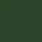 19-5156-13 (Dark green)