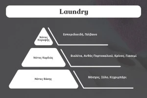Ароматна свещ 110 гр с памучен фитил "Laundry"-2