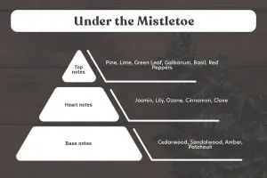Ароматно масло за свещи 30 ml Under the Mistletoe-3