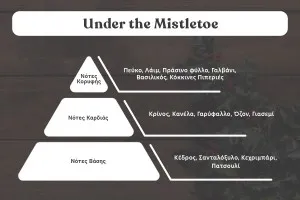 Ароматно масло за свещи 30 ml Under the Mistletoe-2