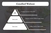 Candied Walnut Ароматно масло 30 мл за свещи Candied Walnut Ароматно масло 30 мл за свещи