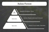 Ароматно масло за свещи 100 мл Asian Forest Ароматно масло за свещи 100 мл Asian Forest