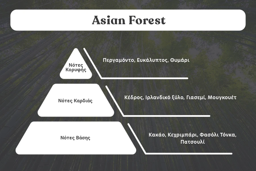 Ароматно масло за свещи 100 мл Asian Forest Ароматно масло за свещи 100 мл Asian Forest