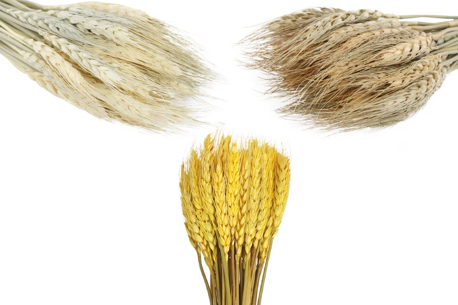 Сухи декоративни цветя Сухи декоративни цветя-