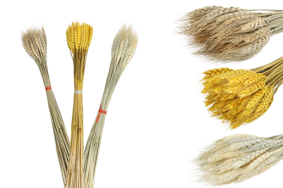 Сухи декоративни цветя Сухи декоративни цветя-изображение_размери