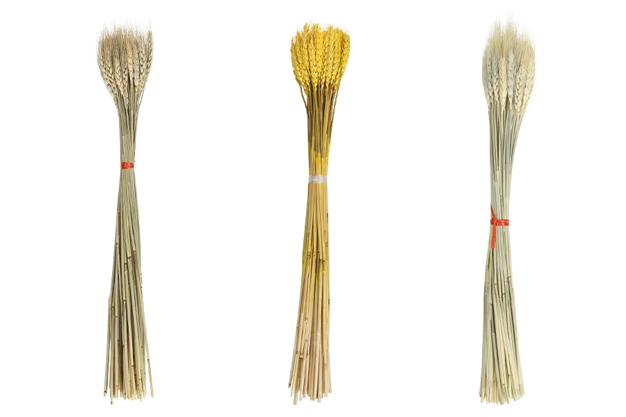 Сухи декоративни цветя Сухи декоративни цветя-изображение_продукт