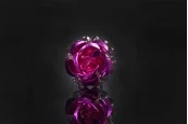 Декоративни метални брошки Роза с ширина 18 mm - 20 броя