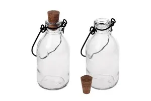 Стъклена бутилка с метална дръжка и коркова тапа  100ml-3
